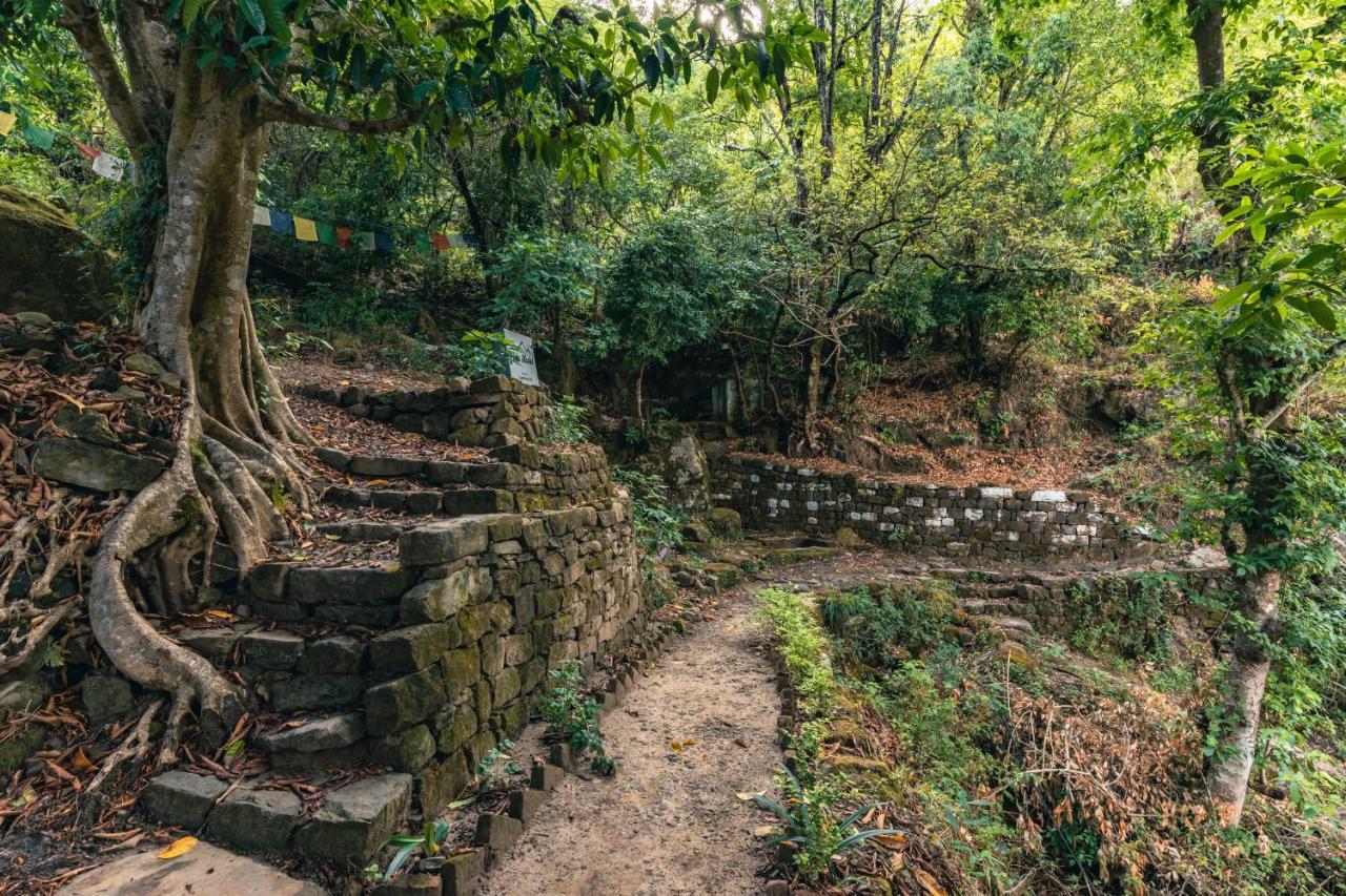 Vista Hostel Jeolikote, Nainital Patwa Dunga 外观 照片