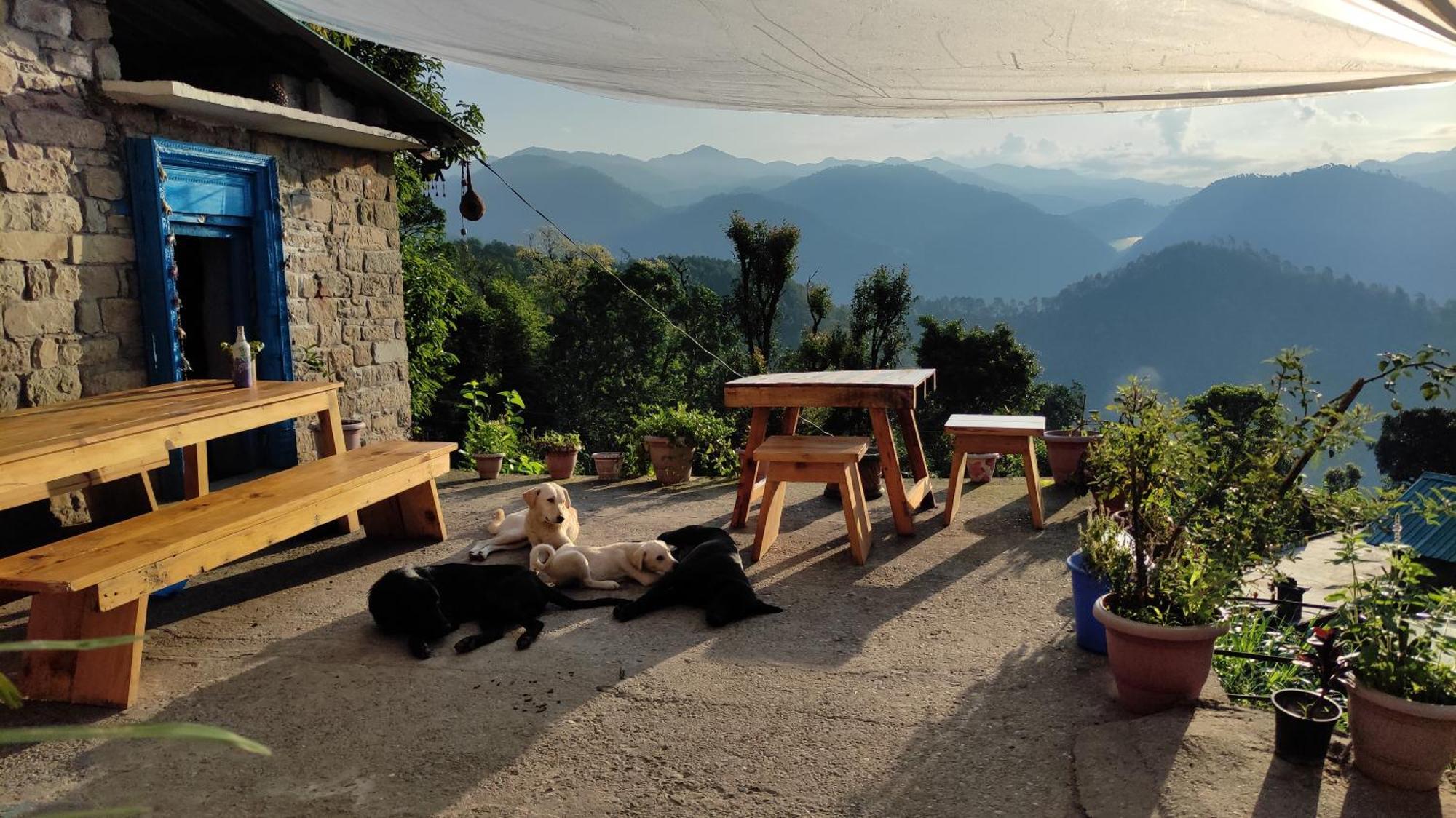 Vista Hostel Jeolikote, Nainital Patwa Dunga 客房 照片