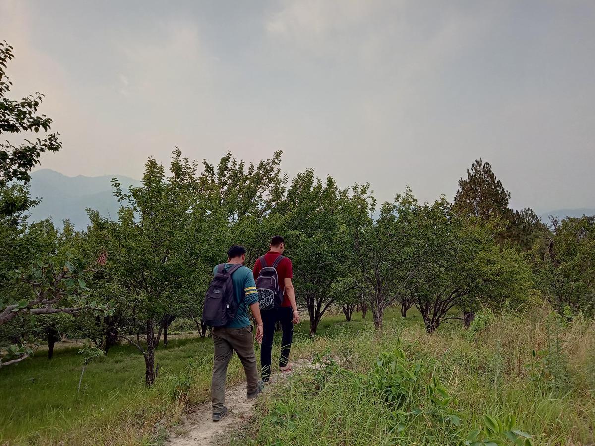 Vista Hostel Jeolikote, Nainital Patwa Dunga 外观 照片